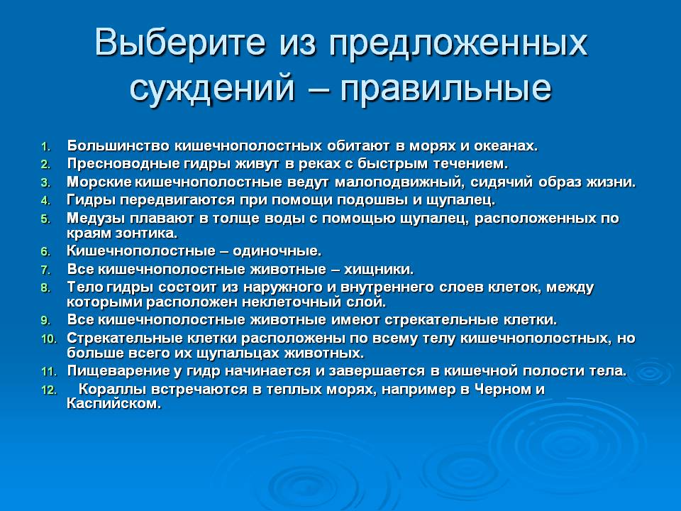 Как зарегистрироваться на сайте кракен